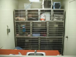 Flint Veterinary Clinic boading area