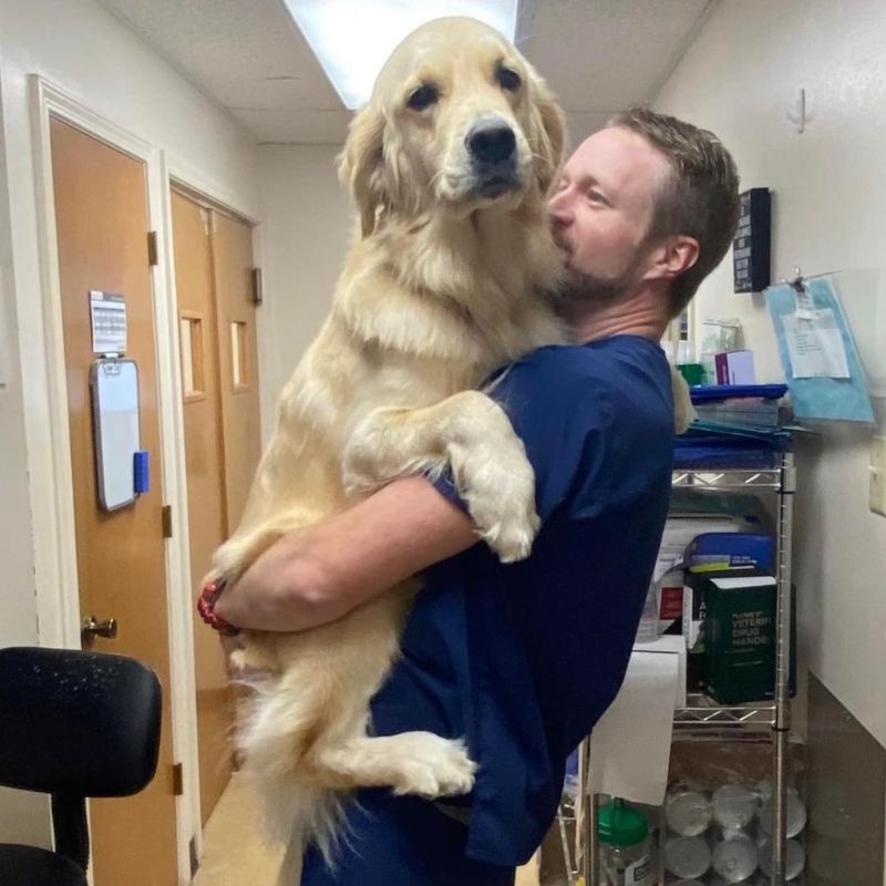 Flint Veterinary Clinic staf holding dog