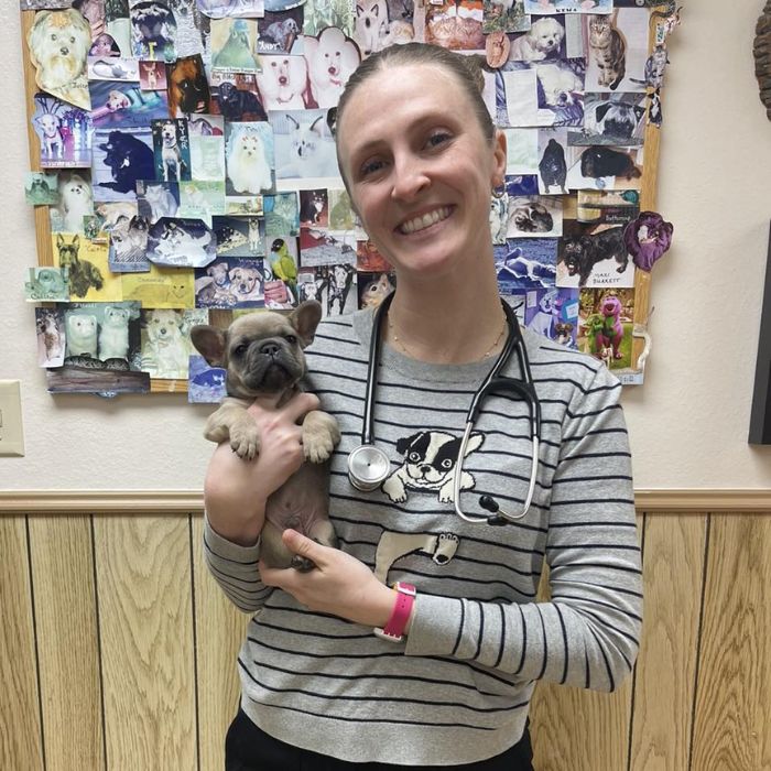 vet holding a puppy