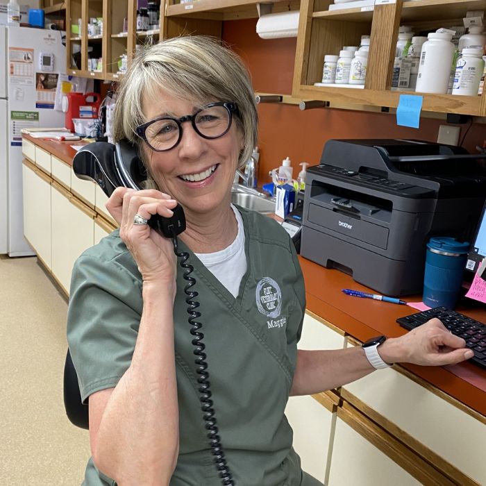 vet staff talking over phone
