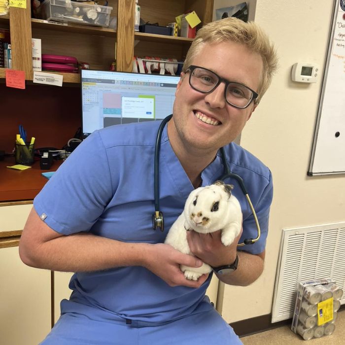 vet staff holding a rabbit