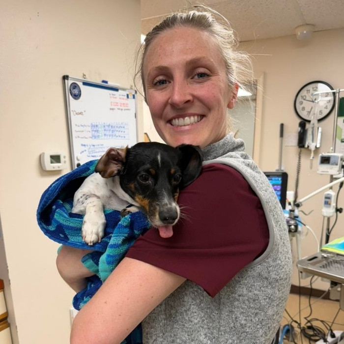 pet radiology